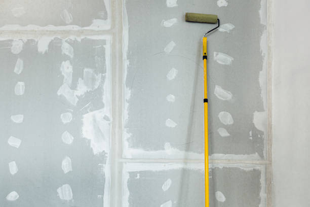 Best Mold Removal for HVAC Installations  in Nyon Lake, CA